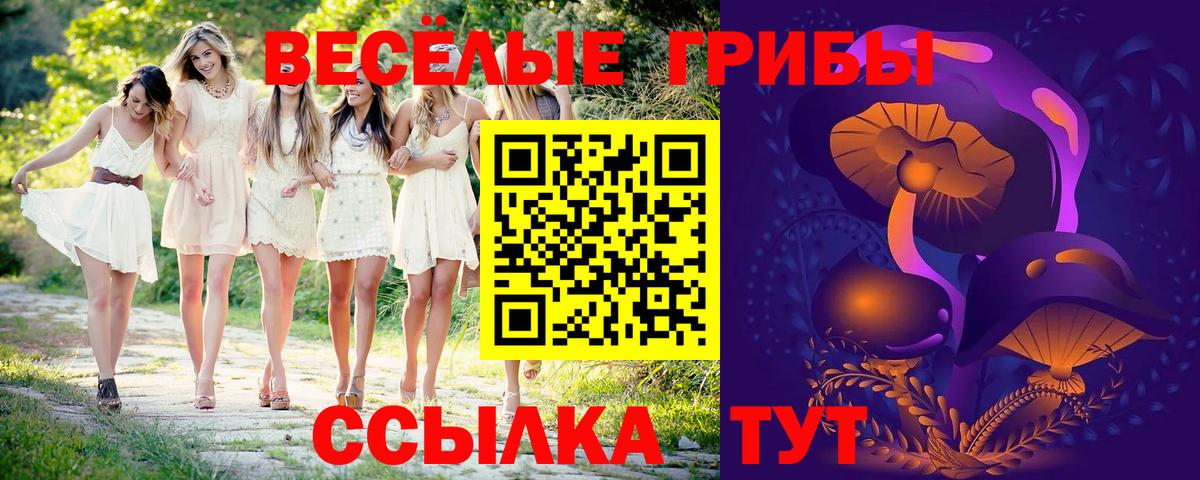 Галлюциногенные грибы Psilocybine cubensis  Галлюциногенные грибы Psilocybe  где можно купить наркотик  Вход с VPN  Химки 